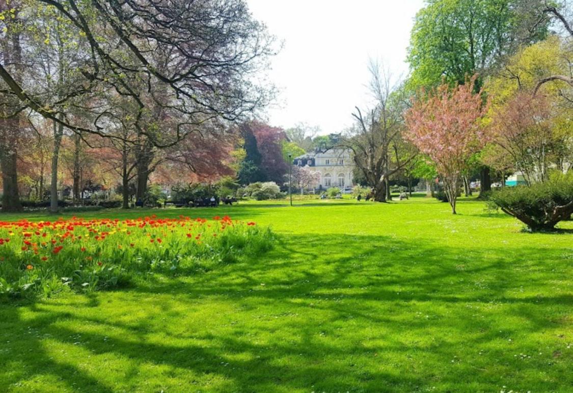 Premium Séjour chez l'habitant Bonn
